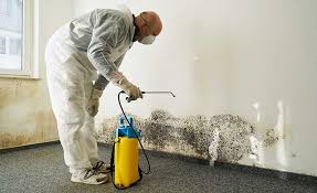 Best Biohazard Mold Removal  in Huntsville, AL